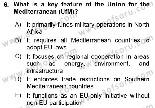 The European Union and Global Politics Dersi 2024 - 2025 Yılı (Final) Dönem Sonu Sınav Soruları 6. Soru