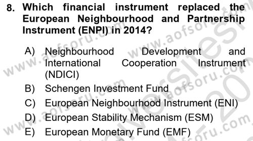 The European Union and Global Politics Dersi 2024 - 2025 Yılı (Final) Dönem Sonu Sınav Soruları 8. Soru
