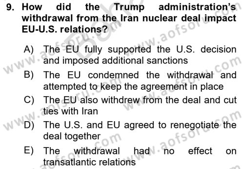 The European Union and Global Politics Dersi 2024 - 2025 Yılı (Final) Dönem Sonu Sınav Soruları 9. Soru