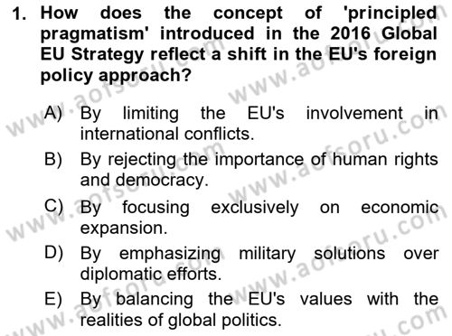 The European Union and Global Politics Dersi 2024 - 2025 Yılı Yaz Okulu Sınav Soruları 1. Soru