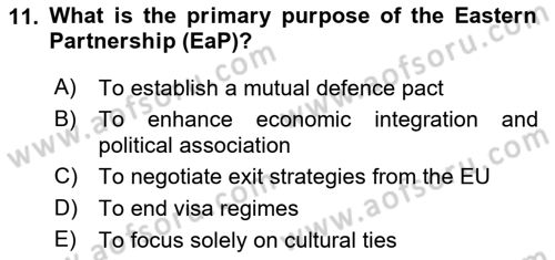 The European Union and Global Politics Dersi 2024 - 2025 Yılı Yaz Okulu Sınav Soruları 11. Soru