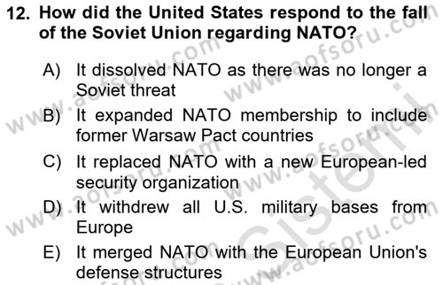 The European Union and Global Politics Dersi 2024 - 2025 Yılı Yaz Okulu Sınav Soruları 12. Soru