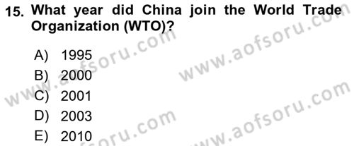 The European Union and Global Politics Dersi 2024 - 2025 Yılı Yaz Okulu Sınav Soruları 15. Soru