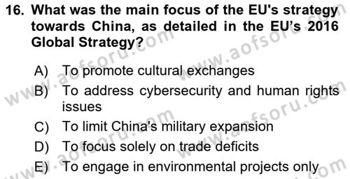 The European Union and Global Politics Dersi 2024 - 2025 Yılı Yaz Okulu Sınav Soruları 16. Soru