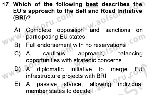 The European Union and Global Politics Dersi 2024 - 2025 Yılı Yaz Okulu Sınav Soruları 17. Soru
