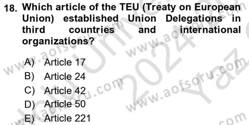 The European Union and Global Politics Dersi 2024 - 2025 Yılı Yaz Okulu Sınav Soruları 18. Soru