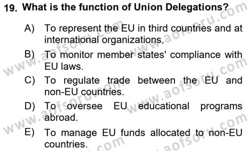 The European Union and Global Politics Dersi 2024 - 2025 Yılı Yaz Okulu Sınav Soruları 19. Soru