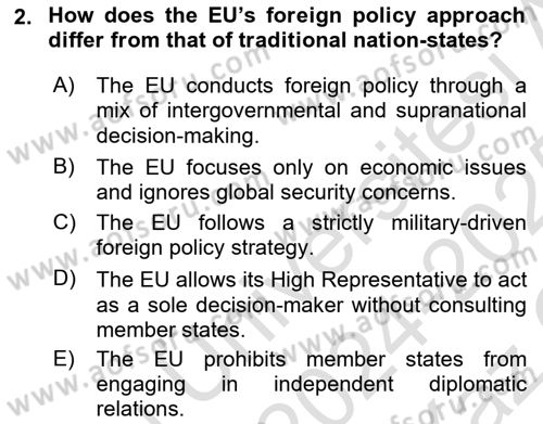 The European Union and Global Politics Dersi 2024 - 2025 Yılı Yaz Okulu Sınav Soruları 2. Soru