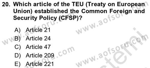 The European Union and Global Politics Dersi 2024 - 2025 Yılı Yaz Okulu Sınav Soruları 20. Soru