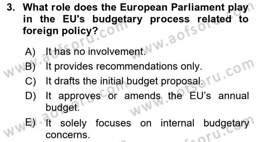 The European Union and Global Politics Dersi 2024 - 2025 Yılı Yaz Okulu Sınav Soruları 3. Soru