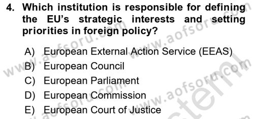The European Union and Global Politics Dersi 2024 - 2025 Yılı Yaz Okulu Sınav Soruları 4. Soru