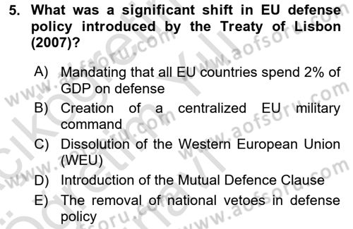 The European Union and Global Politics Dersi 2024 - 2025 Yılı Yaz Okulu Sınav Soruları 5. Soru