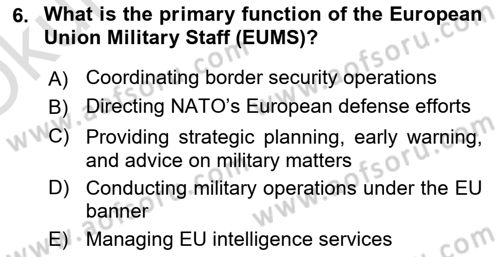 The European Union and Global Politics Dersi 2024 - 2025 Yılı Yaz Okulu Sınav Soruları 6. Soru