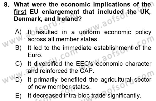 The European Union and Global Politics Dersi 2024 - 2025 Yılı Yaz Okulu Sınav Soruları 8. Soru
