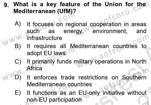 The European Union and Global Politics Dersi 2024 - 2025 Yılı Yaz Okulu Sınav Soruları 9. Soru