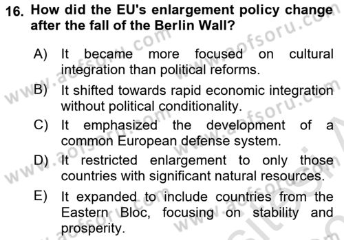 The European Union and Global Politics Dersi 2025 - 2026 Yılı (Vize) Ara Sınav Soruları 16. Soru