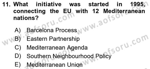 The European Union In World Affairs Dersi 2023 - 2024 Yılı Yaz Okulu Sınavı 11. Soru
