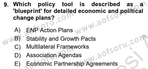 The European Union In World Affairs Dersi 2023 - 2024 Yılı Yaz Okulu Sınavı 9. Soru