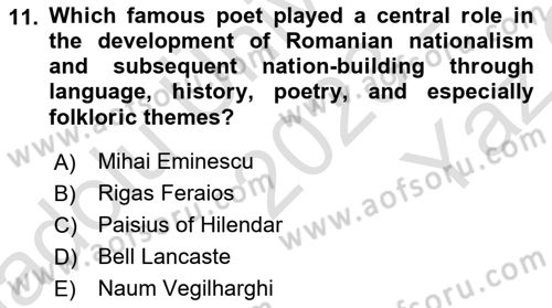 The Balkans Dersi 2023 - 2024 Yılı Yaz Okulu Sınav Soruları 11. Soru