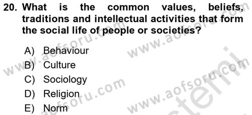 The Balkans Dersi 2023 - 2024 Yılı Yaz Okulu Sınav Soruları 20. Soru