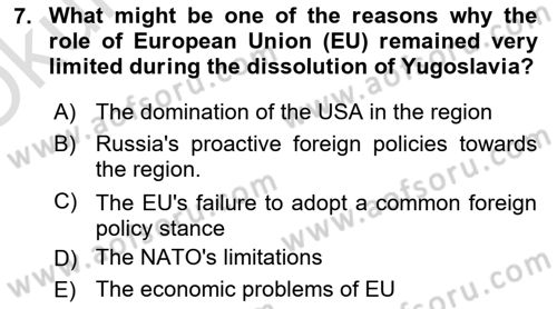 The Balkans Dersi 2023 - 2024 Yılı Yaz Okulu Sınav Soruları 7. Soru