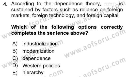 Global South And Emerging Powers Dersi 2021 - 2022 Yılı (Vize) Ara Sınav Soruları 4. Soru