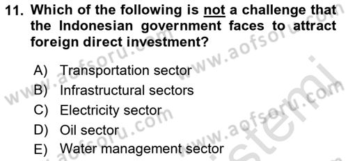 Global South And Emerging Powers Dersi 2021 - 2022 Yılı (Final) Dönem Sonu Sınav Soruları 11. Soru