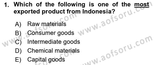 Global South And Emerging Powers Dersi 2021 - 2022 Yılı Yaz Okulu Sınav Soruları 1. Soru