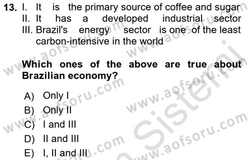 Global South And Emerging Powers Dersi 2021 - 2022 Yılı Yaz Okulu Sınav Soruları 13. Soru