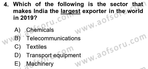 Global South And Emerging Powers Dersi 2021 - 2022 Yılı Yaz Okulu Sınav Soruları 4. Soru