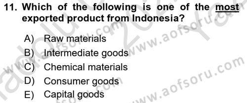 Global South And Emerging Powers Dersi 2022 - 2023 Yılı Yaz Okulu Sınav Soruları 11. Soru