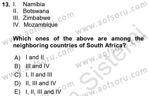 Global South And Emerging Powers Dersi 2022 - 2023 Yılı Yaz Okulu Sınav Soruları 13. Soru