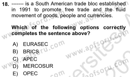 Global South And Emerging Powers Dersi 2022 - 2023 Yılı Yaz Okulu Sınav Soruları 18. Soru