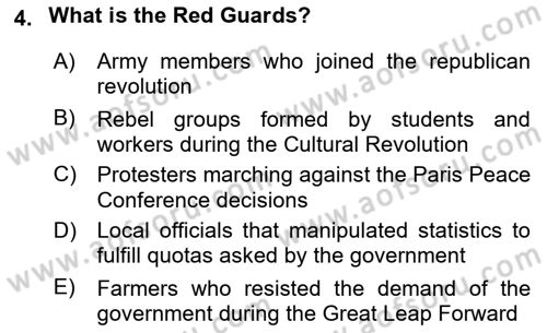 Global South And Emerging Powers Dersi 2022 - 2023 Yılı Yaz Okulu Sınav Soruları 4. Soru