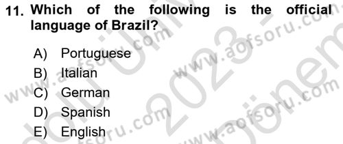 Global South And Emerging Powers Dersi 2023 - 2024 Yılı (Final) Dönem Sonu Sınav Soruları 11. Soru