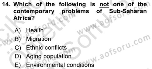 Global South And Emerging Powers Dersi 2023 - 2024 Yılı (Final) Dönem Sonu Sınav Soruları 14. Soru
