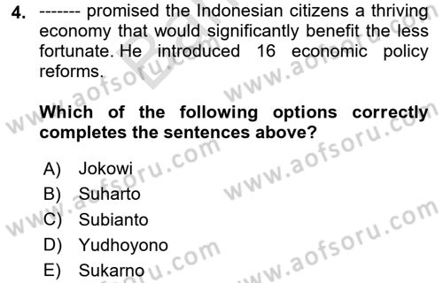 Global South And Emerging Powers Dersi 2023 - 2024 Yılı (Final) Dönem Sonu Sınav Soruları 4. Soru