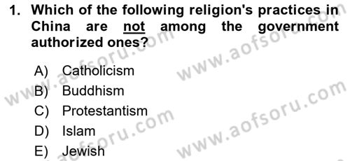 Global South And Emerging Powers Dersi 2023 - 2024 Yılı Yaz Okulu Sınav Soruları 1. Soru
