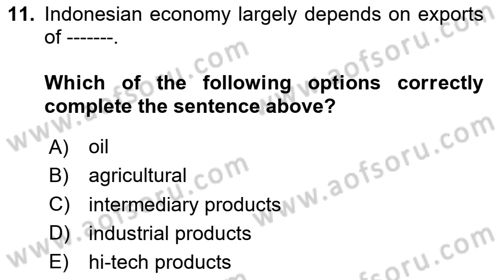 Global South And Emerging Powers Dersi 2023 - 2024 Yılı Yaz Okulu Sınav Soruları 11. Soru