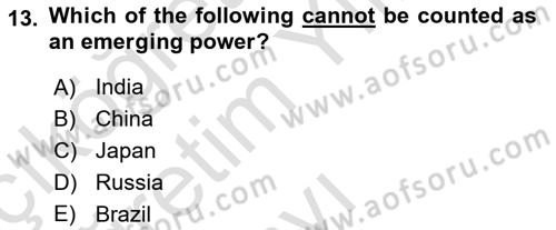 Global South And Emerging Powers Dersi 2023 - 2024 Yılı Yaz Okulu Sınav Soruları 13. Soru
