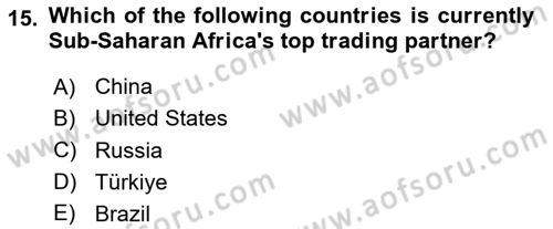 Global South And Emerging Powers Dersi 2023 - 2024 Yılı Yaz Okulu Sınav Soruları 15. Soru