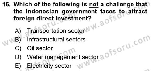 Global South And Emerging Powers Dersi 2023 - 2024 Yılı Yaz Okulu Sınav Soruları 16. Soru