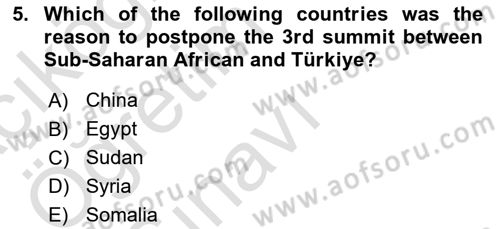 Global South And Emerging Powers Dersi 2023 - 2024 Yılı Yaz Okulu Sınav Soruları 5. Soru