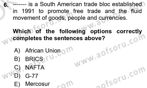 Global South And Emerging Powers Dersi 2023 - 2024 Yılı Yaz Okulu Sınav Soruları 6. Soru
