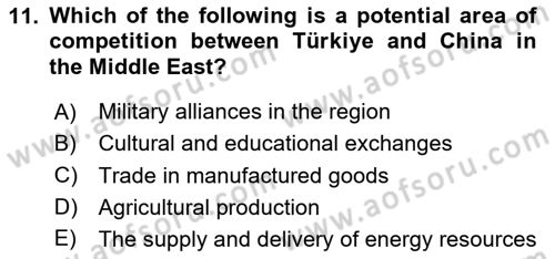 Global South And Emerging Powers Dersi 2024 - 2025 Yılı (Vize) Ara Sınav Soruları 11. Soru