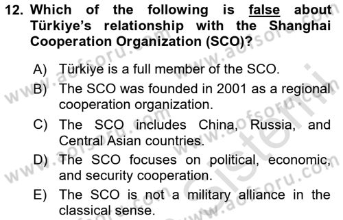 Global South And Emerging Powers Dersi 2024 - 2025 Yılı (Vize) Ara Sınav Soruları 12. Soru