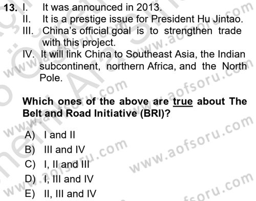 Global South And Emerging Powers Dersi 2024 - 2025 Yılı (Vize) Ara Sınav Soruları 13. Soru
