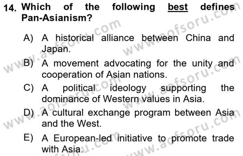 Global South And Emerging Powers Dersi 2024 - 2025 Yılı (Vize) Ara Sınav Soruları 14. Soru