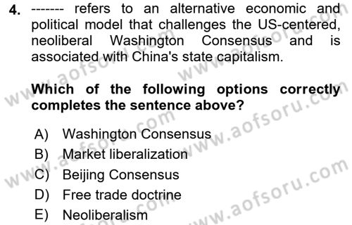 Global South And Emerging Powers Dersi 2024 - 2025 Yılı (Vize) Ara Sınav Soruları 4. Soru