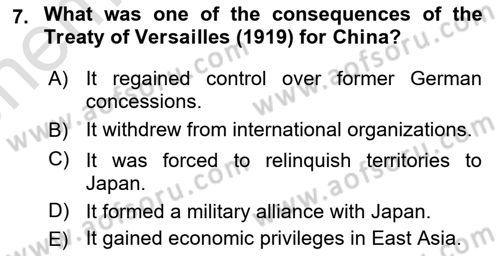 Global South And Emerging Powers Dersi 2024 - 2025 Yılı (Vize) Ara Sınav Soruları 7. Soru
